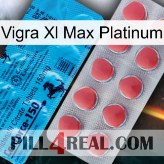 Vigra Xl Max Platinum new14